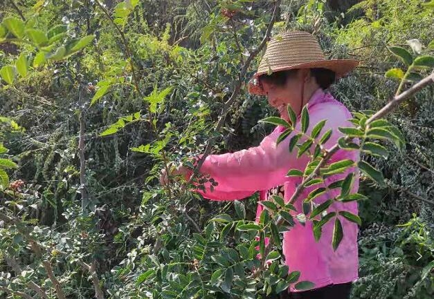 扶貧工作動(dòng)態(tài)(第123期)