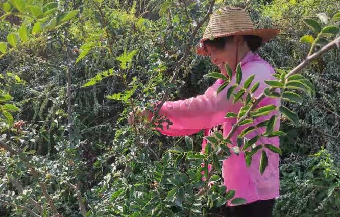 扶貧工作動(dòng)態(tài)(第128期)