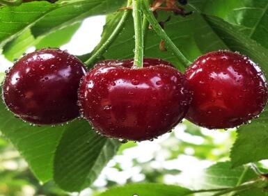 扶貧工作動(dòng)態(tài)(第122期)