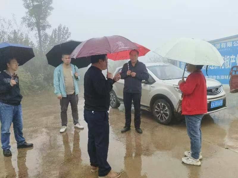 鄉村振興工作動態(第162期)