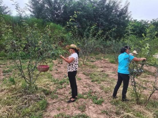 扶貧工作動(dòng)態(tài)(第125期)