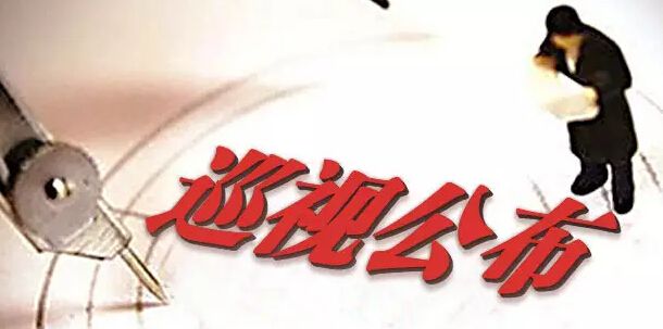 中共西安工業資產經營公司黨委關于巡視整改情況的通報